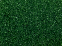 proturf_plus_02