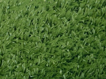 proturf_standard_03